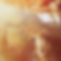 gallery04-830x400